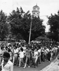 Huelga universitaria de 1981